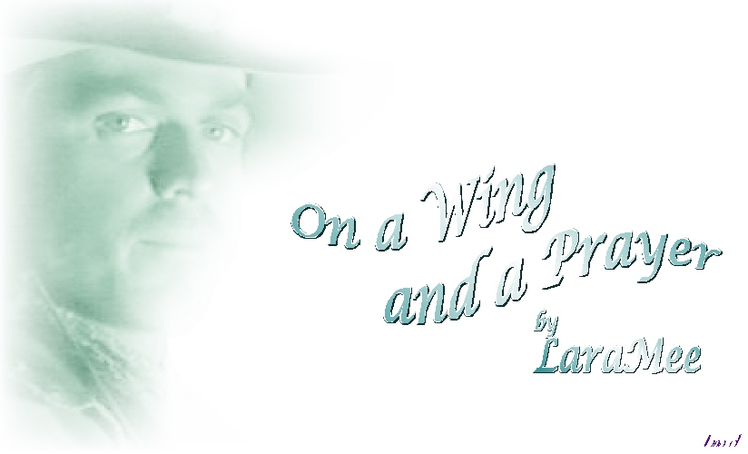 On a Wing and a Prayer by LaraMee