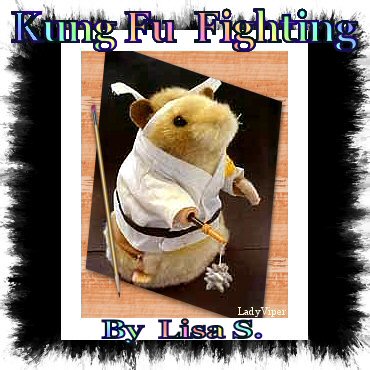 Kung Fu Fighting by Lisa S.