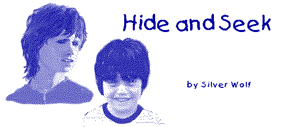 HIDE AND SEEK by Silver Wolf
