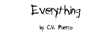 EVERYTHING by C.V. Puerro