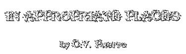 IN APPROPRIATE PLACES by C.V. Puerro