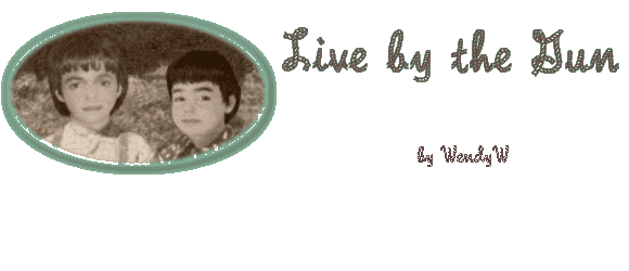 LIVE BY THE GUN by WendyW