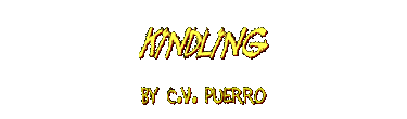 KINDLING by C.V. Puerro