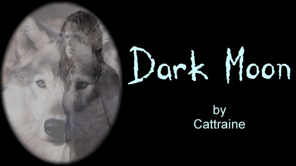 dark moon photograph