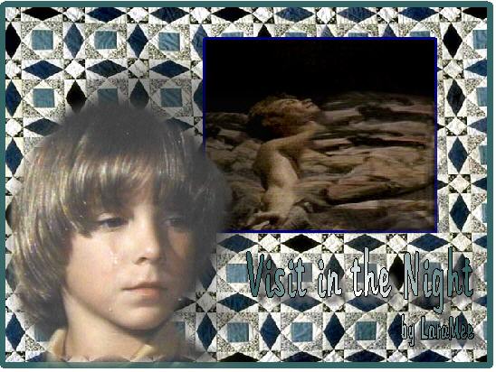 VISIT IN THE NIGHT by LaraMee