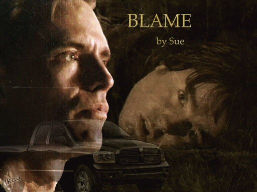 Blame by Sue M