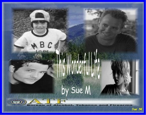 This Wonderful Life by Sue M