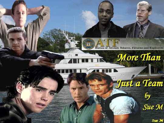 More Than Just a Team by Sue M