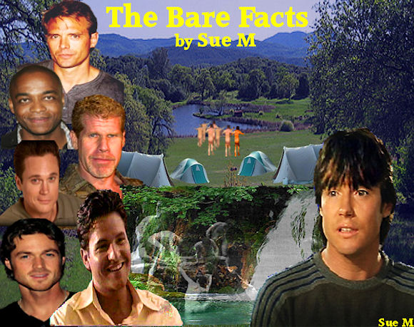 The Bare Facts by Sue M.