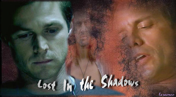 Lost in the Shadows