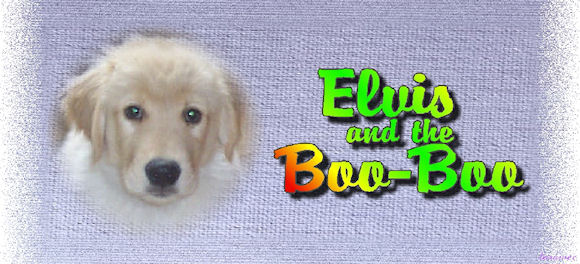 Elvis and the Boo-Boo