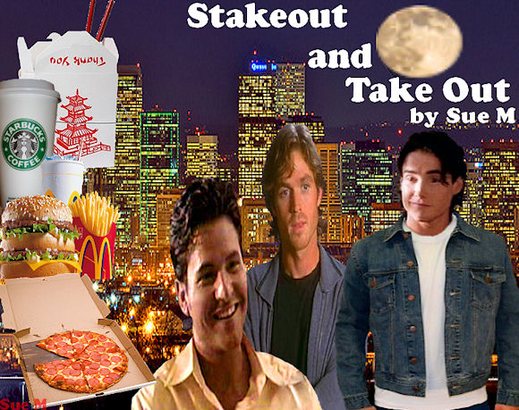 Stakeout and Take-Out by Sue M