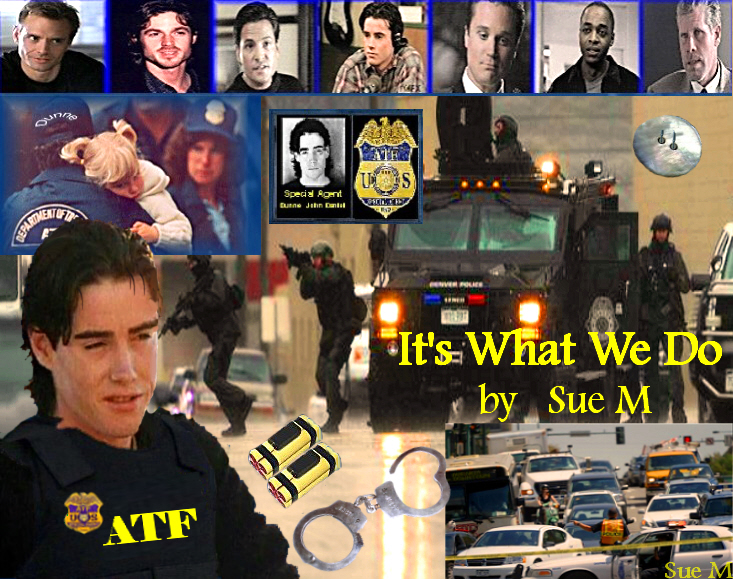 It's What We Do by Sue M
