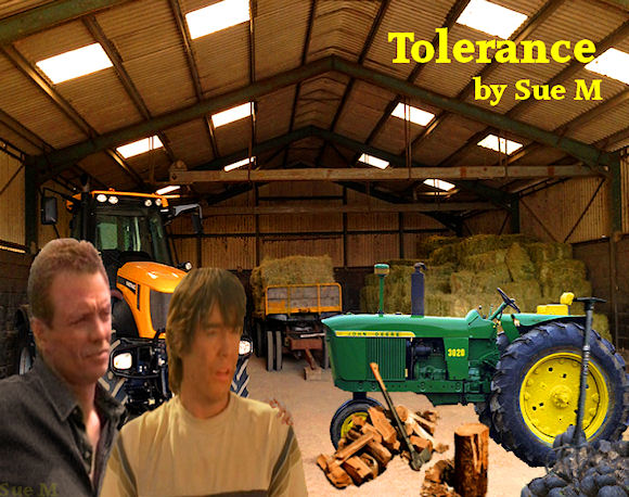Tolerance by Sue M