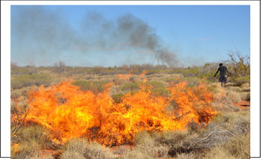 mesa fire