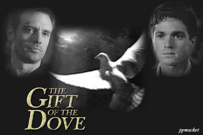 Gift of the Dove by Deirdre