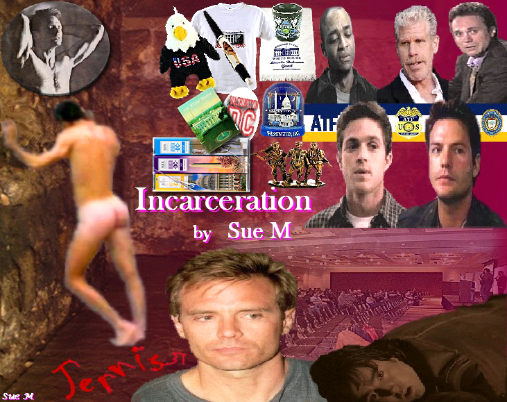 Incarceration by Sue M