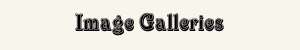 IMAGE GALLERIES