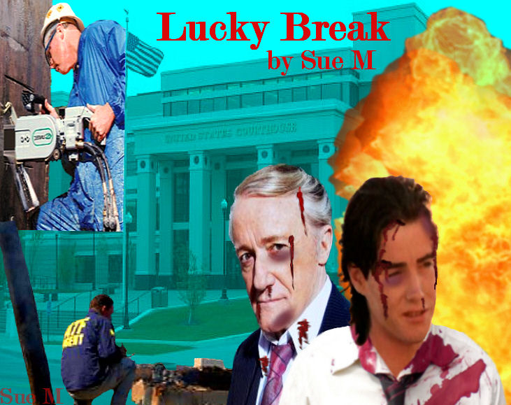 Lucky Break by Sue M