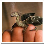 tiny dragon perched on fingertips