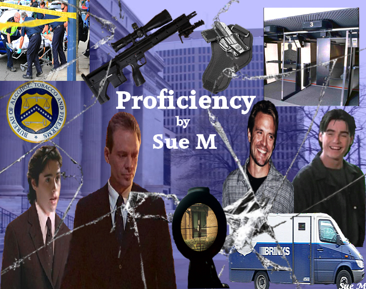 Proficiency by Sue M